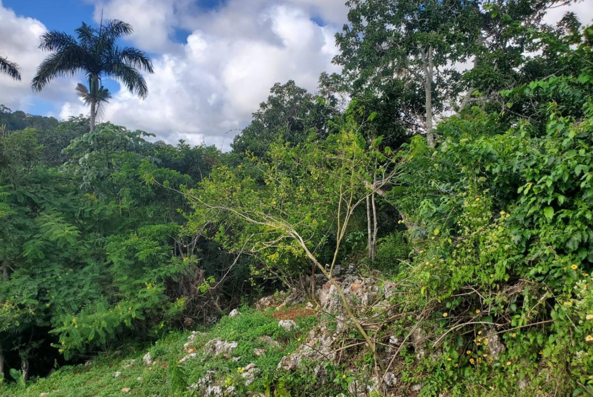 Ninth image of Top Albion Mandeville in Mandeville, Manchester, Jamaica - property is For Sale