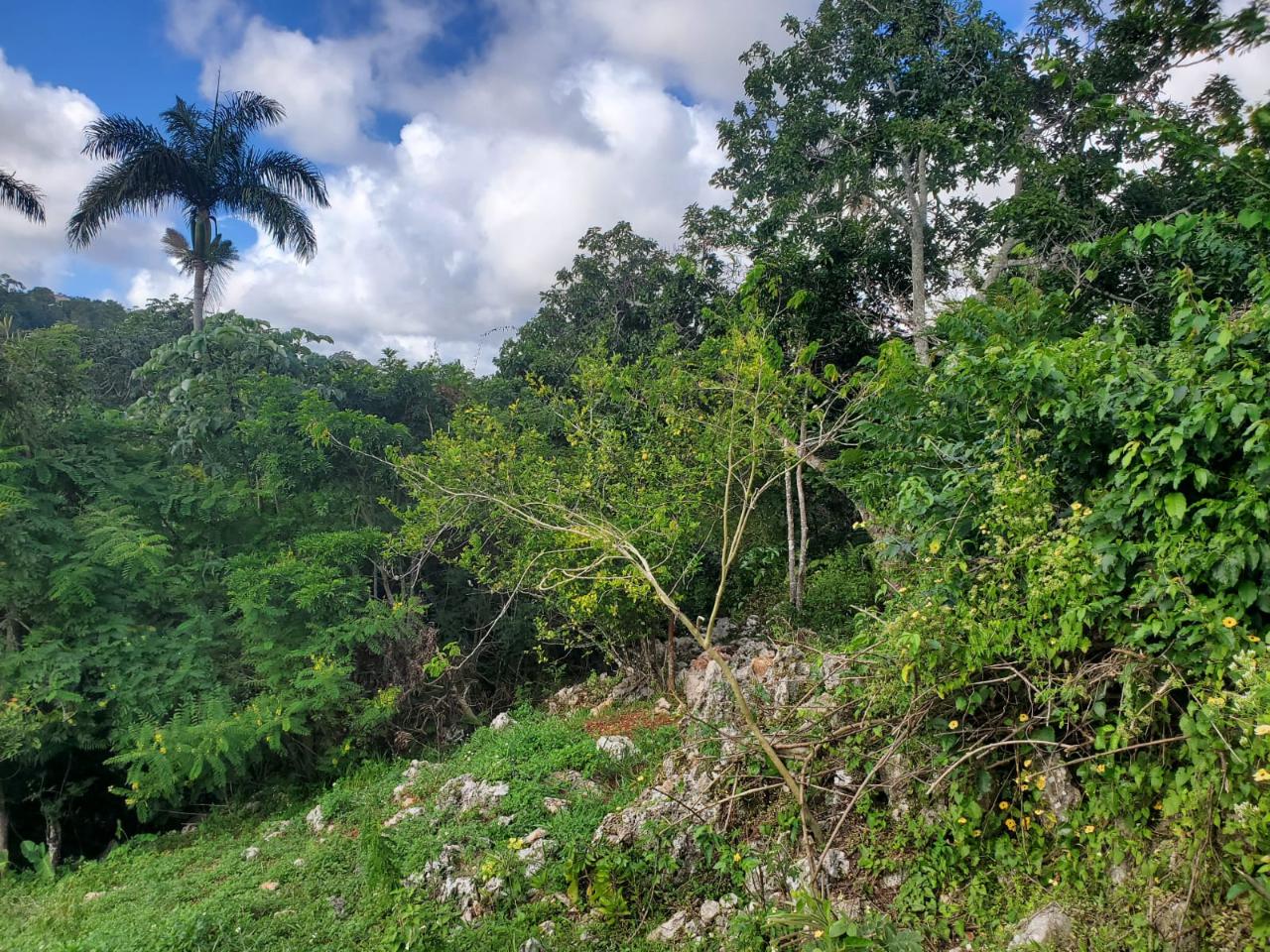 Ninth image of Top Albion Mandeville in Mandeville, Manchester, Jamaica - property is For Sale