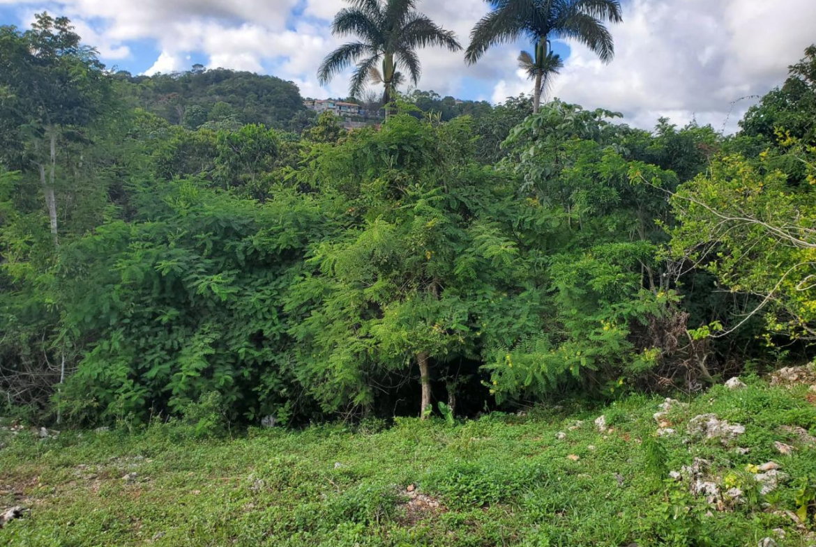 Tenth image of Top Albion Mandeville in Mandeville, Manchester, Jamaica - property is For Sale