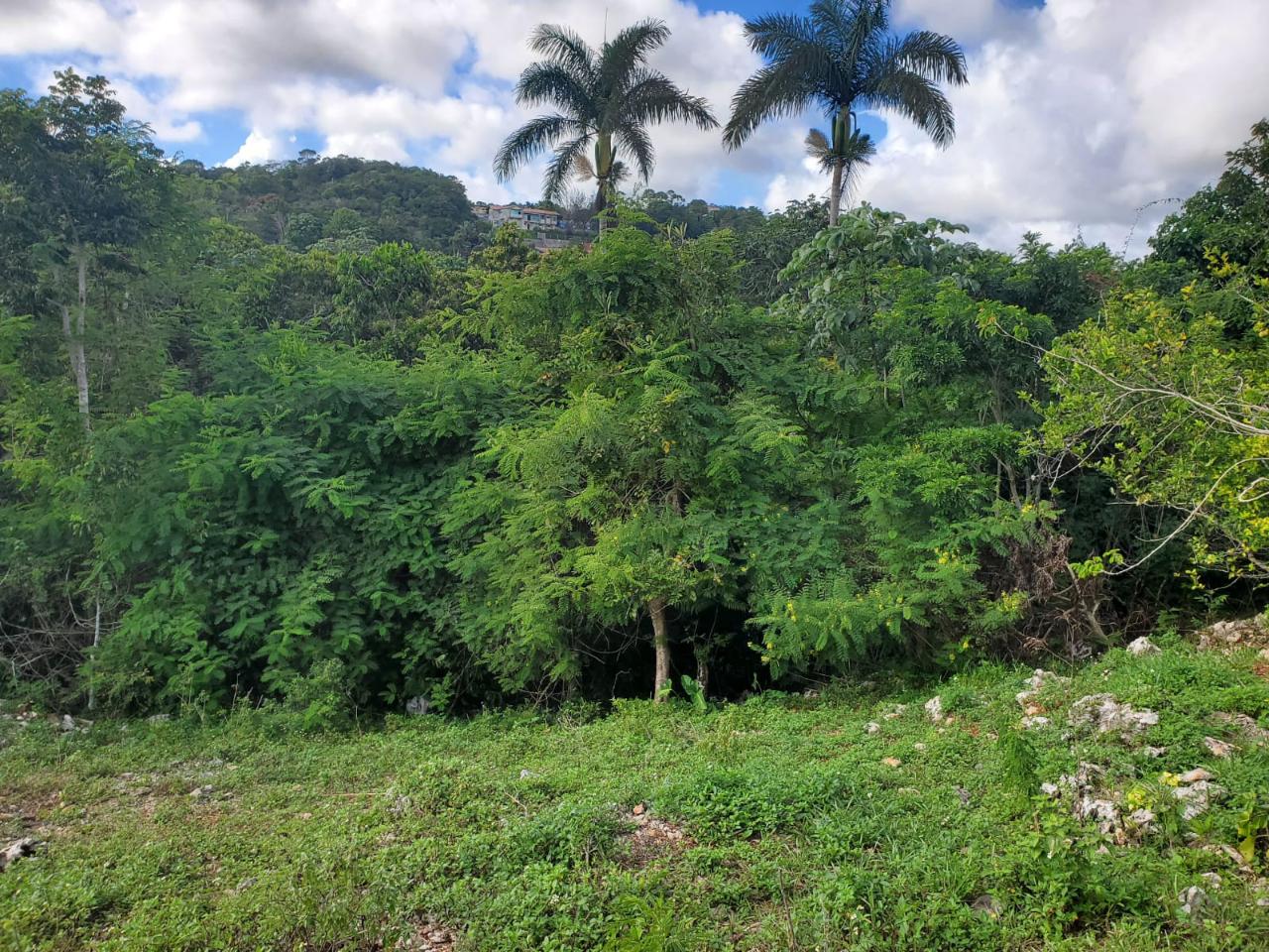 Tenth image of Top Albion Mandeville in Mandeville, Manchester, Jamaica - property is For Sale
