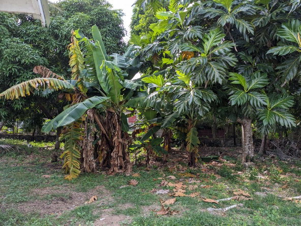 Twenty-Second image of Lot 6 Great Pond, Ocho Rios in Ocho Rios, St. Ann, Jamaica - property is For Sale