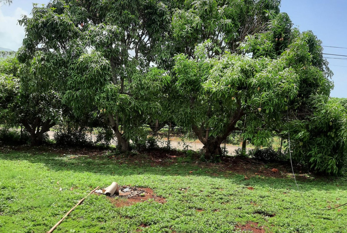 Eleventh image of Bull Savannah in Junction, St. Elizabeth, Jamaica - property is For Sale