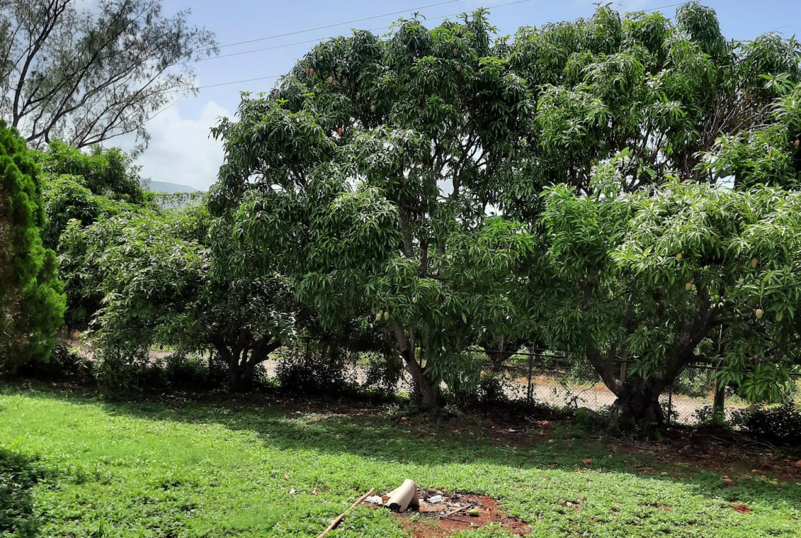 Twelfth image of Bull Savannah in Junction, St. Elizabeth, Jamaica - property is For Sale