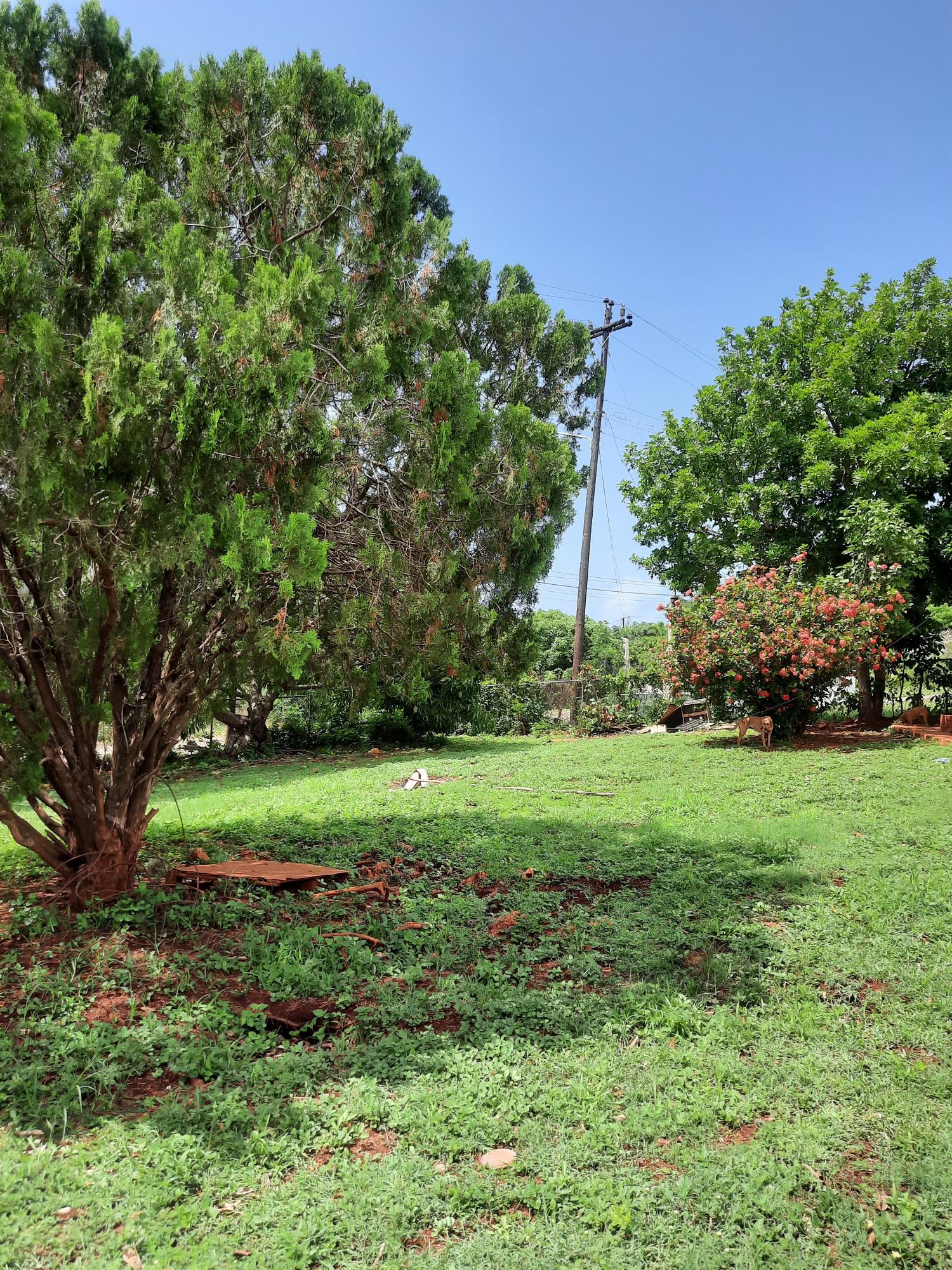 Fourteenth image of Bull Savannah in Junction, St. Elizabeth, Jamaica - property is For Sale