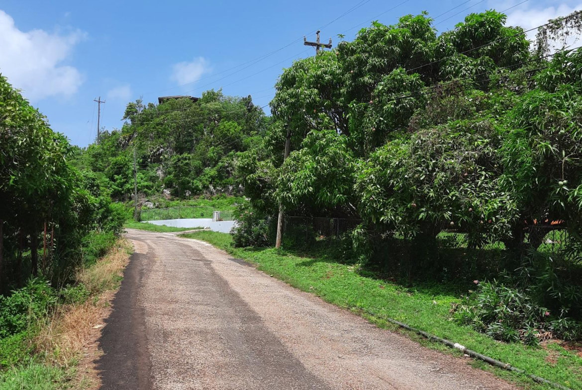 Fifteenth image of Bull Savannah in Junction, St. Elizabeth, Jamaica - property is For Sale