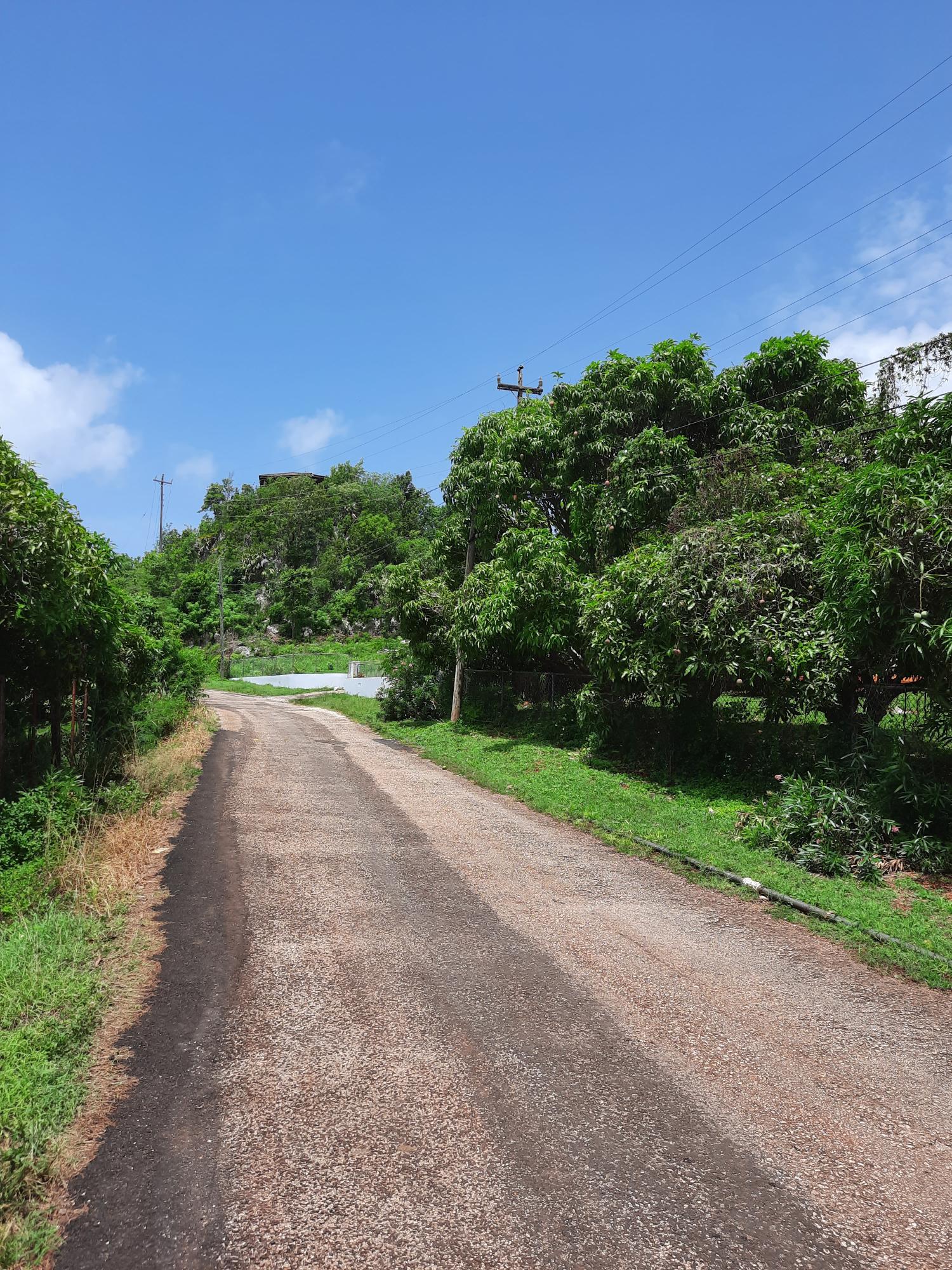 Fifteenth image of Bull Savannah in Junction, St. Elizabeth, Jamaica - property is For Sale