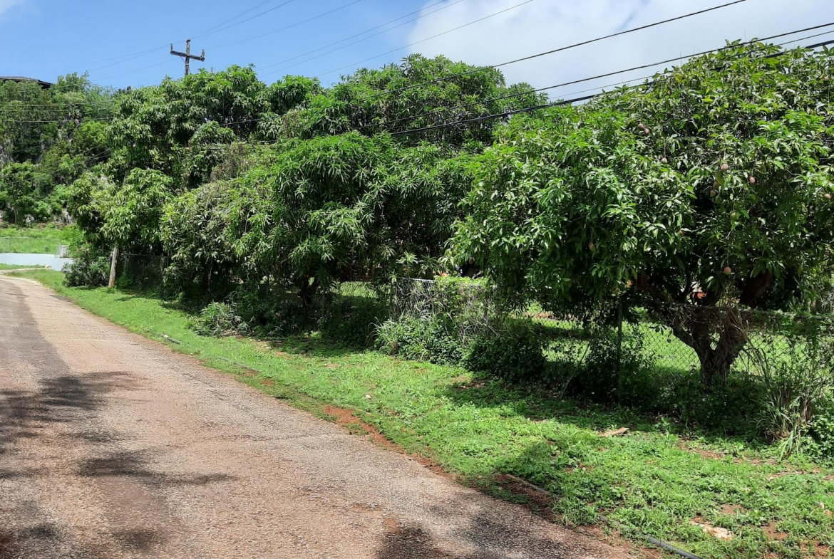 Sixteenth image of Bull Savannah in Junction, St. Elizabeth, Jamaica - property is For Sale