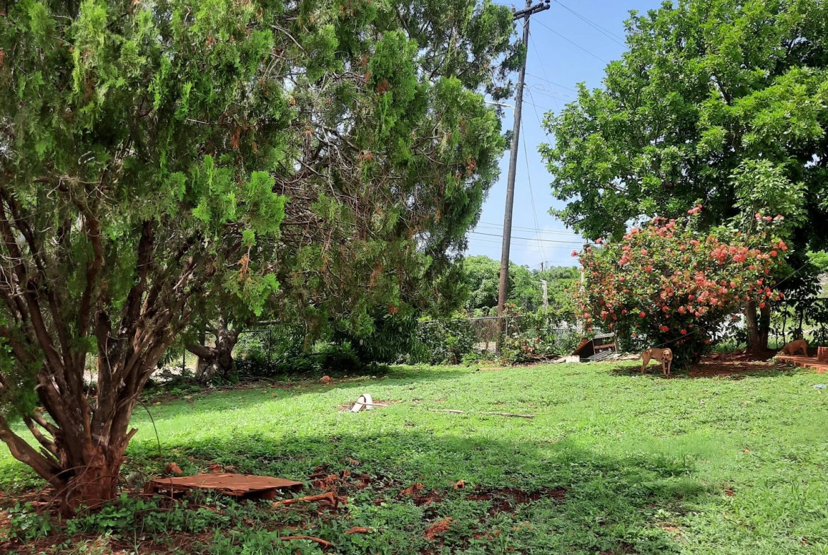 Eighteenth image of Bull Savannah in Junction, St. Elizabeth, Jamaica - property is For Sale