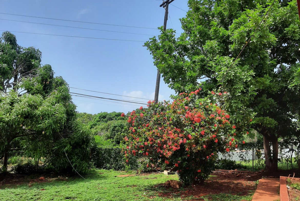 Fourth image of Bull Savannah in Junction, St. Elizabeth, Jamaica - property is For Sale