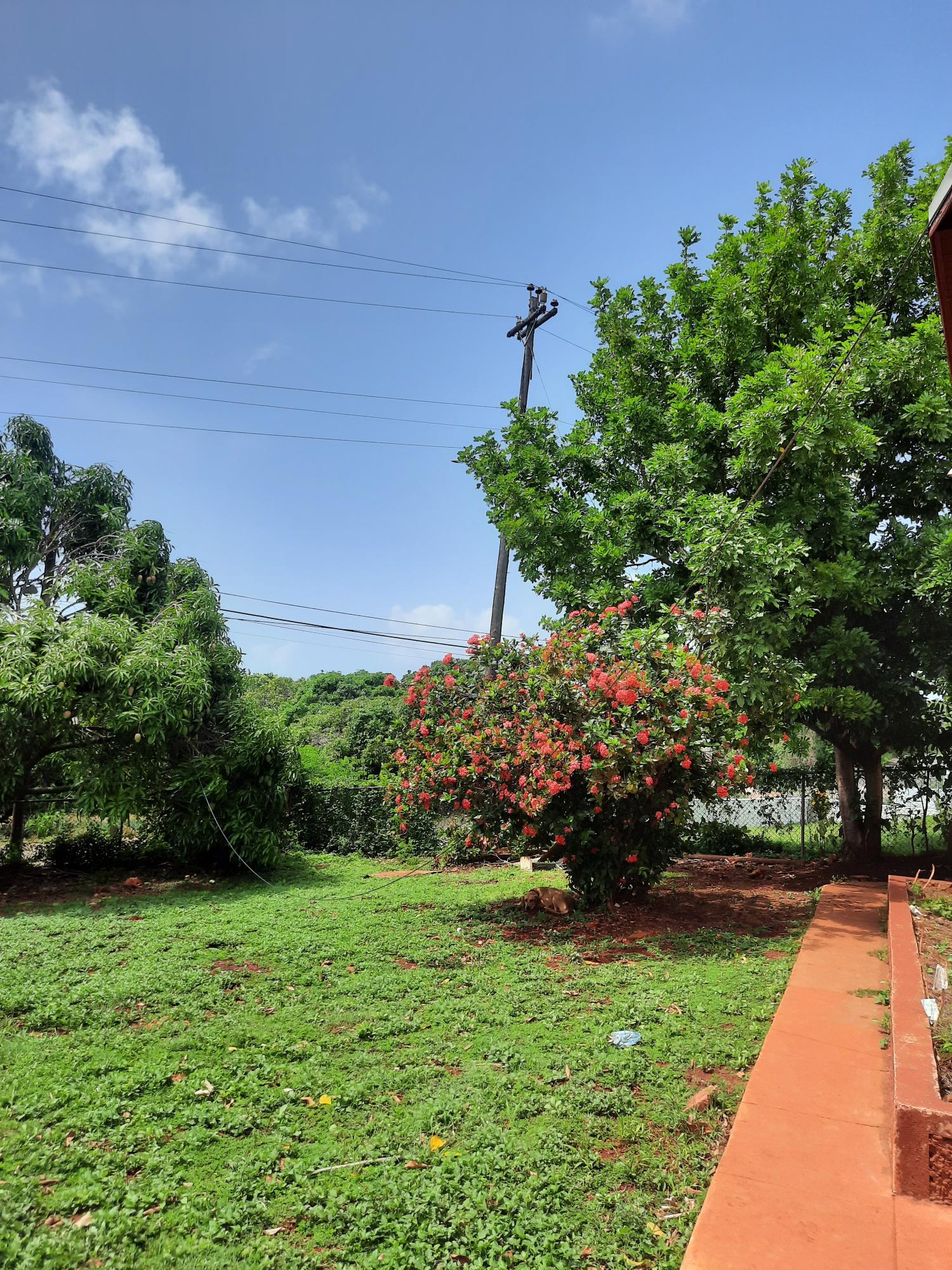 Fourth image of Bull Savannah in Junction, St. Elizabeth, Jamaica - property is For Sale
