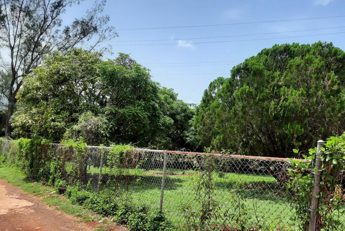 Fifth image of Bull Savannah in Junction, St. Elizabeth, Jamaica - property is For Sale