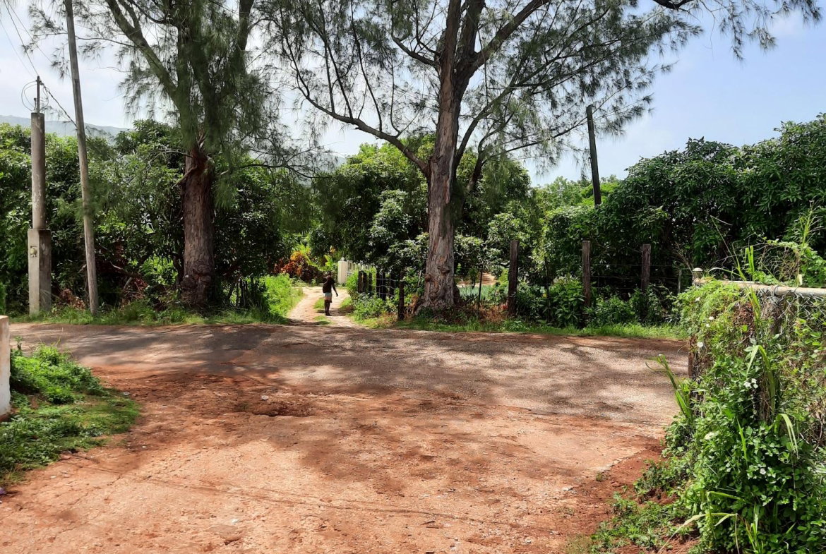 Sixth image of Bull Savannah in Junction, St. Elizabeth, Jamaica - property is For Sale
