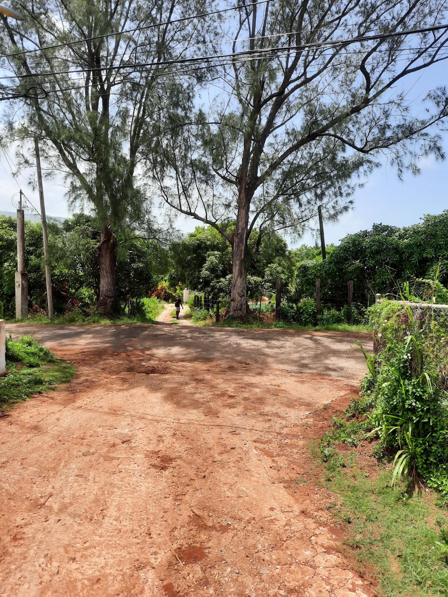 Sixth image of Bull Savannah in Junction, St. Elizabeth, Jamaica - property is For Sale