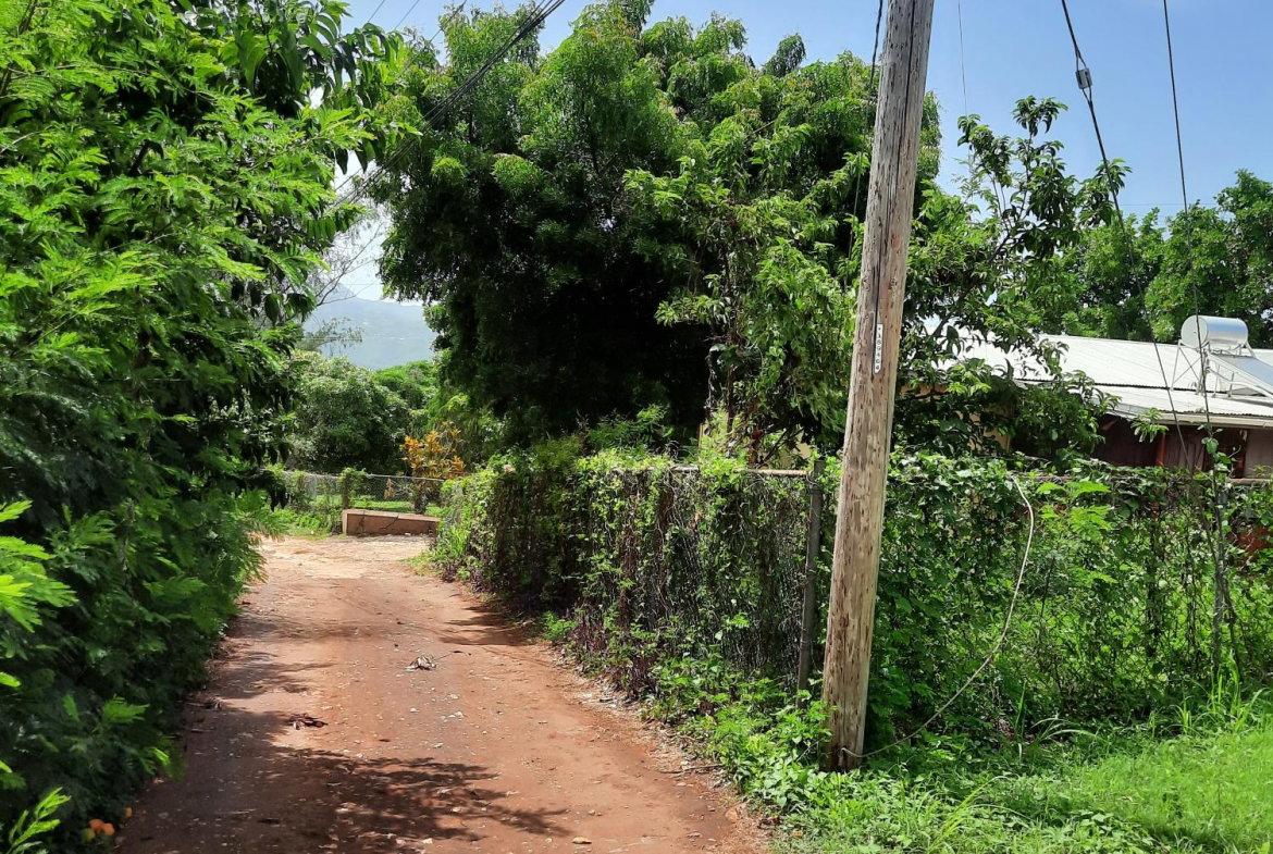 Seventh image of Bull Savannah in Junction, St. Elizabeth, Jamaica - property is For Sale