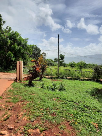 Ninth image of Bull Savannah in Junction, St. Elizabeth, Jamaica - property is For Sale