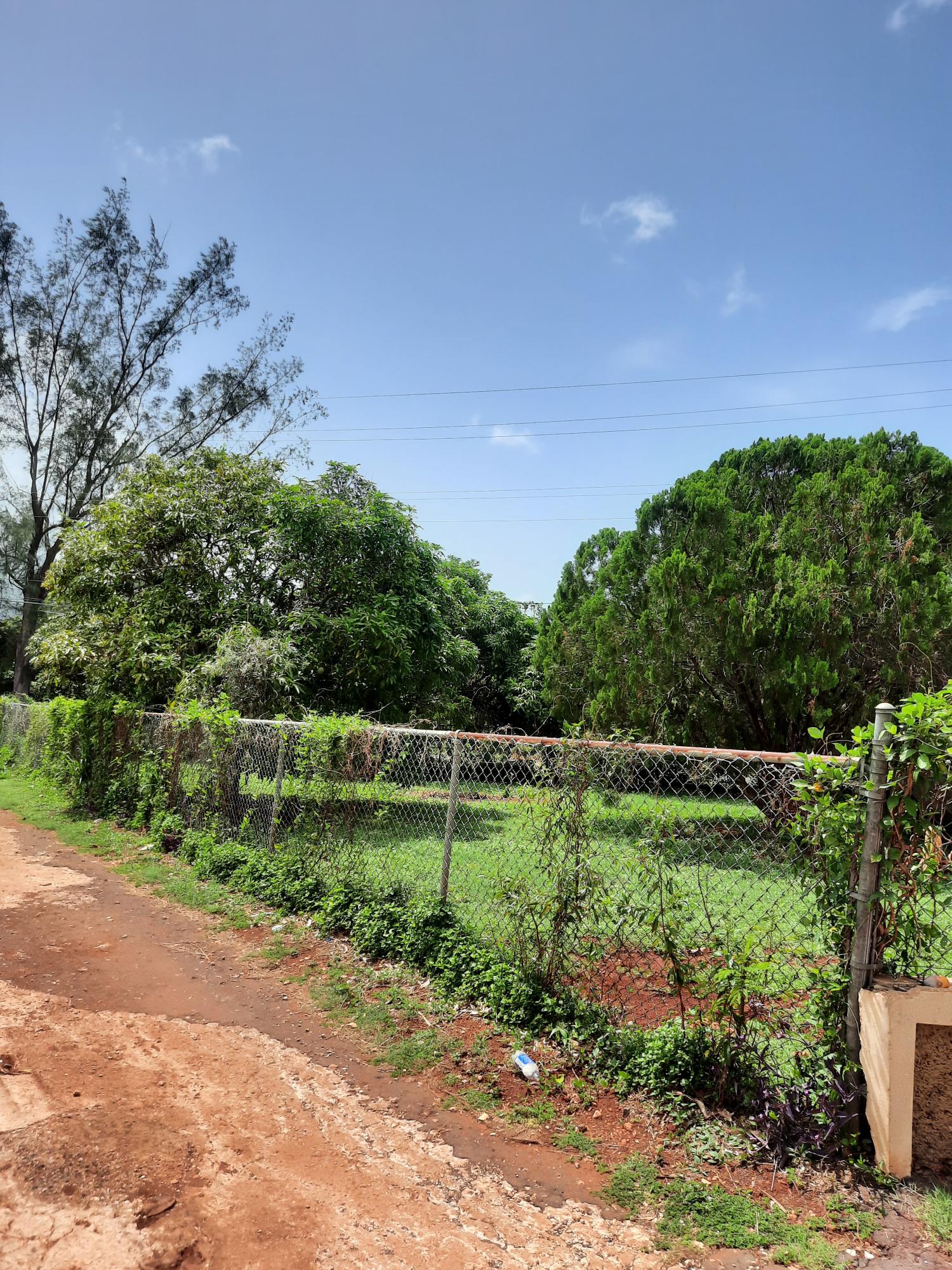 Tenth image of Bull Savannah in Junction, St. Elizabeth, Jamaica - property is For Sale