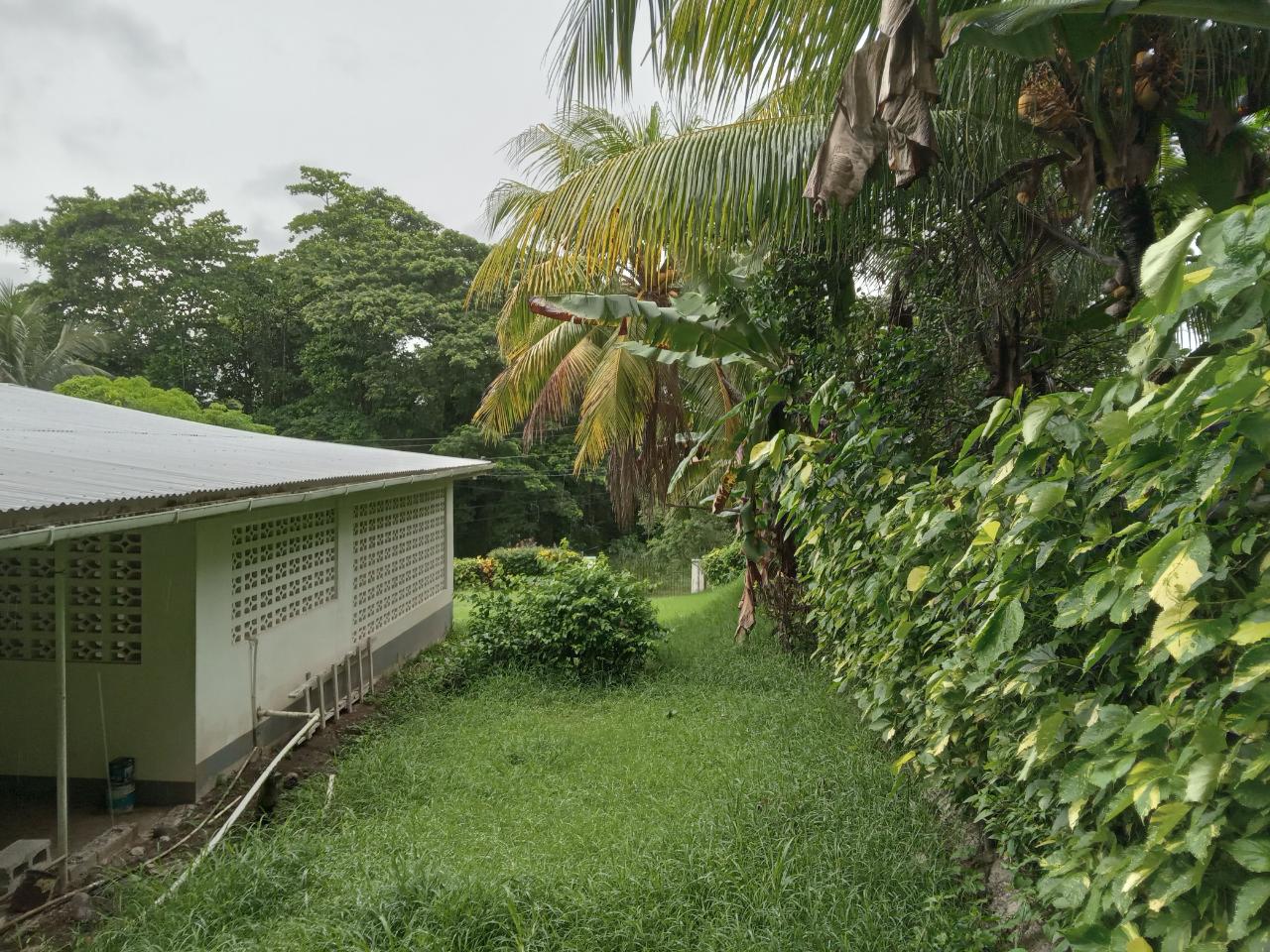Twentieth image of 55 Llanrumney , Port Maria, in Llanrumney, St. Mary, Jamaica - property is For Sale