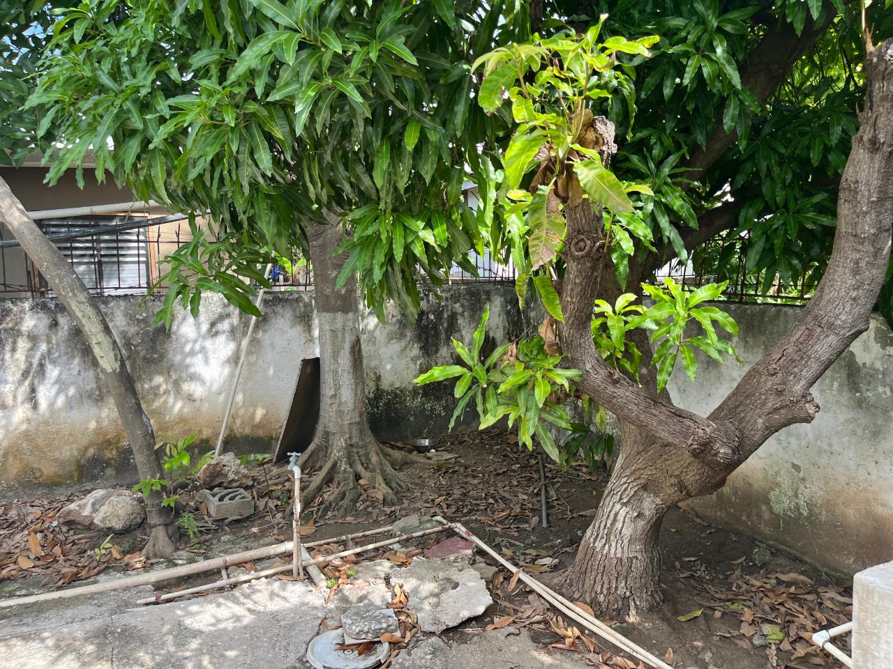 Twenty-Ninth image of Willowdene-lot 516 st Catherine in Spanish Town, St. Catherine, Jamaica - property is For Sale