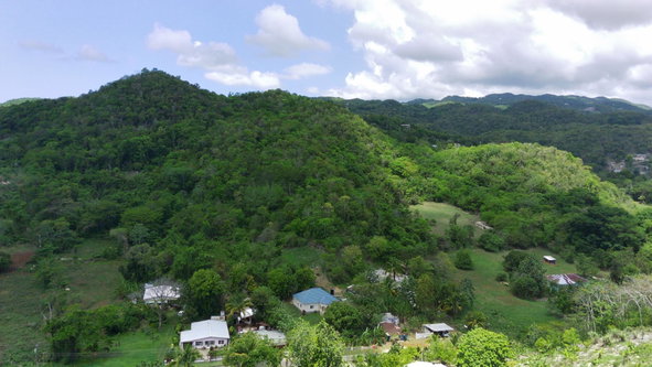 Twenty-Third image of 31 Whitehall in Middle Quarters, St. Elizabeth, Jamaica - property is For Sale