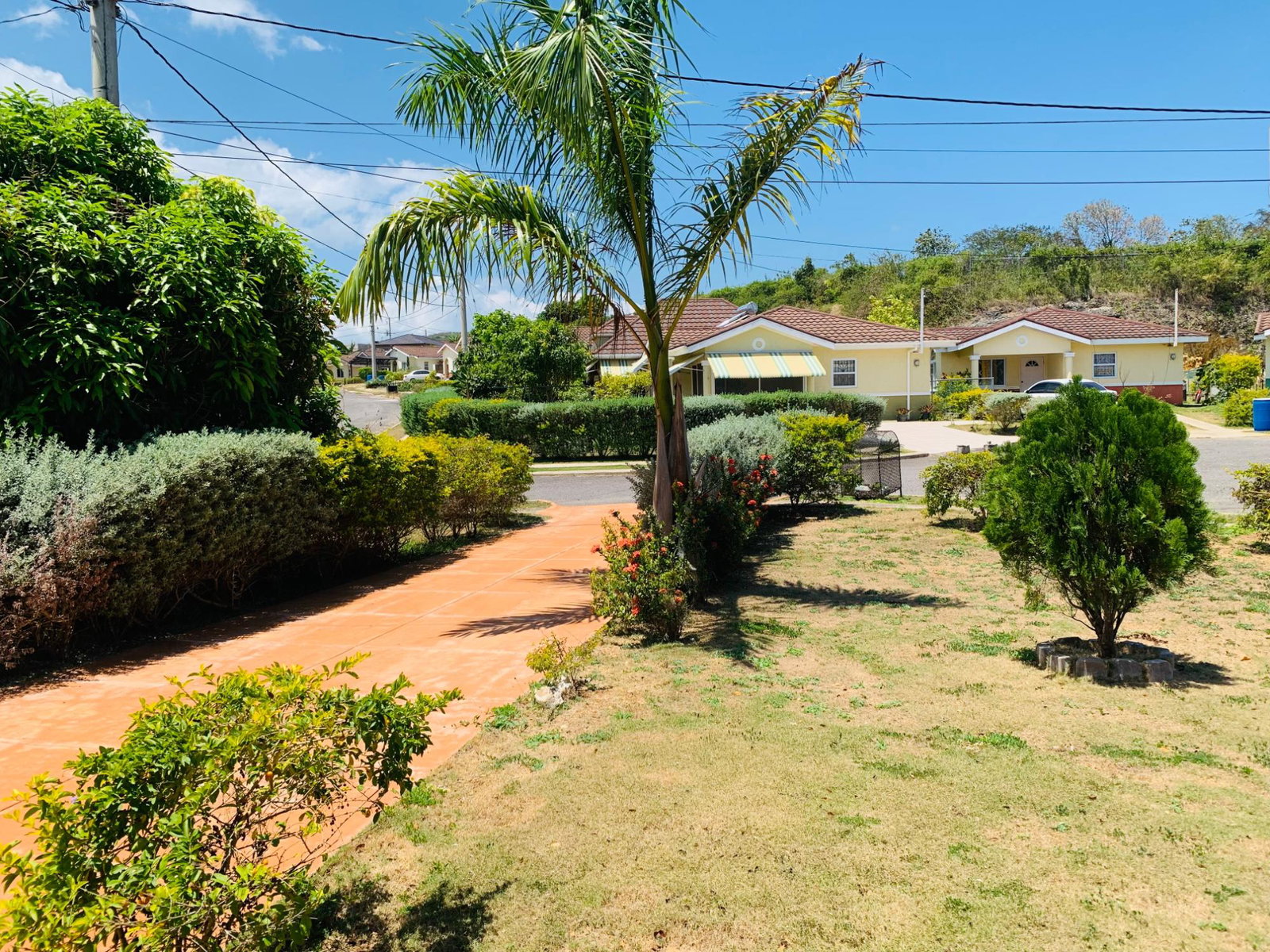 Twenty-Second image of 31- Holland Estate in Falmouth, Trelawny, Jamaica - property is For Rent