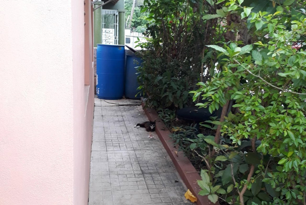 Seventh image of lt 338 9th Salmon Way, Braeton in Braeton Newtown, St. Catherine, Jamaica - property is For Sale