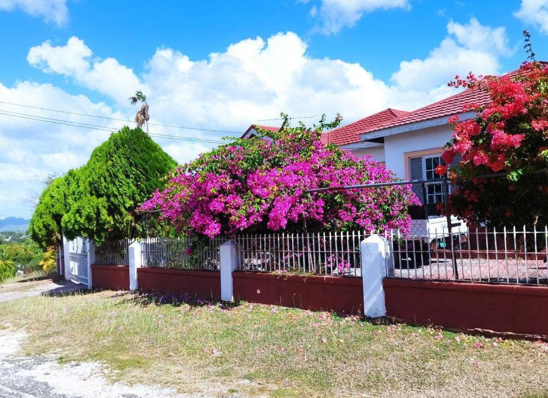 Fourth image of Lot #7 Paisley Avenue in May Pen, Clarendon, Jamaica - property is For Sale