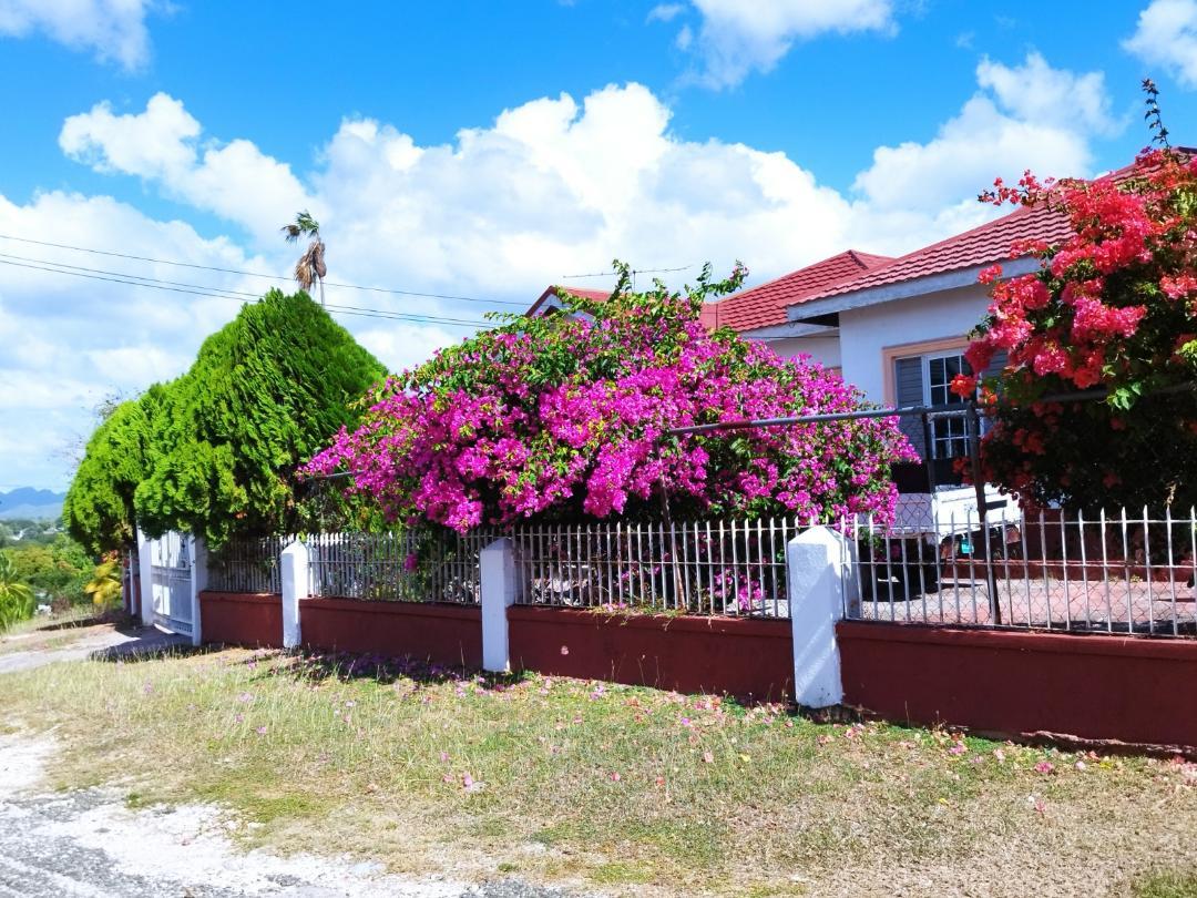 Fourth image of Lot #7 Paisley Avenue in May Pen, Clarendon, Jamaica - property is For Sale