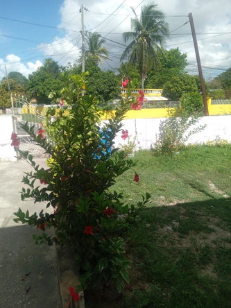 Sixteenth image of 88 Cromarty Grove in Spanish Town, St. Catherine, Jamaica - property is For Sale