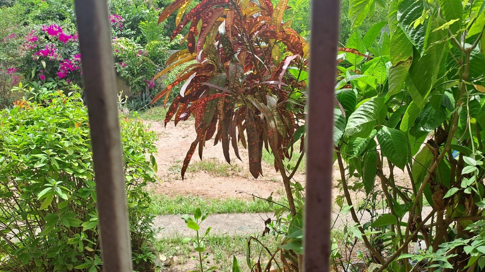 Eleventh image of Roehampton Mews in Kingston 19, St. Andrew, Jamaica - property is For Sale