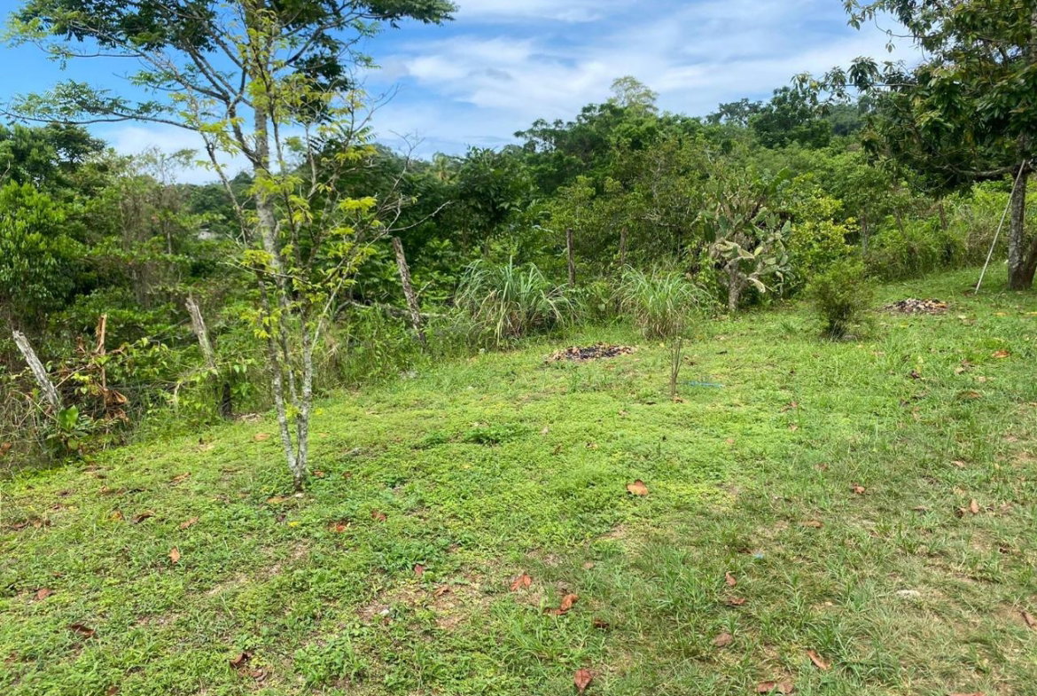 Fourth image of 186 Hermitage, St. Ann in Hermitage, St. Ann, Jamaica - property is For Sale