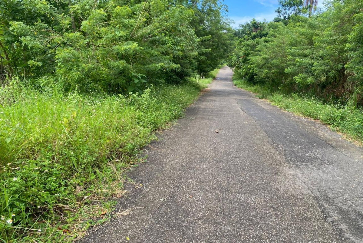 Fifth image of 186 Hermitage, St. Ann in Hermitage, St. Ann, Jamaica - property is For Sale