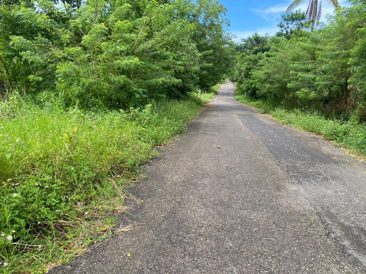 Fifth image of 186 Hermitage, St. Ann in Hermitage, St. Ann, Jamaica - property is For Sale