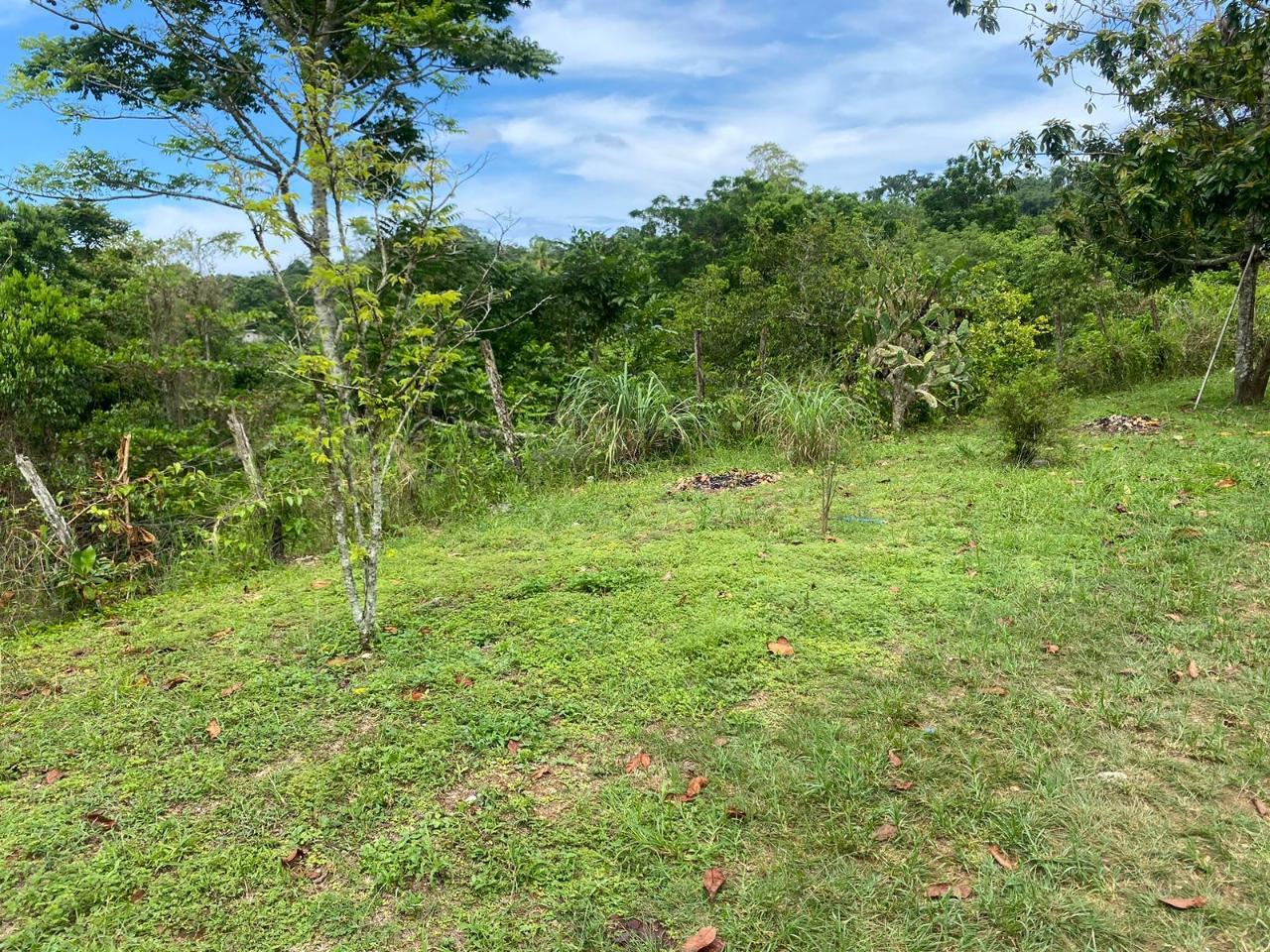 Sixth image of 186 Hermitage, St. Ann in Hermitage, St. Ann, Jamaica - property is For Sale
