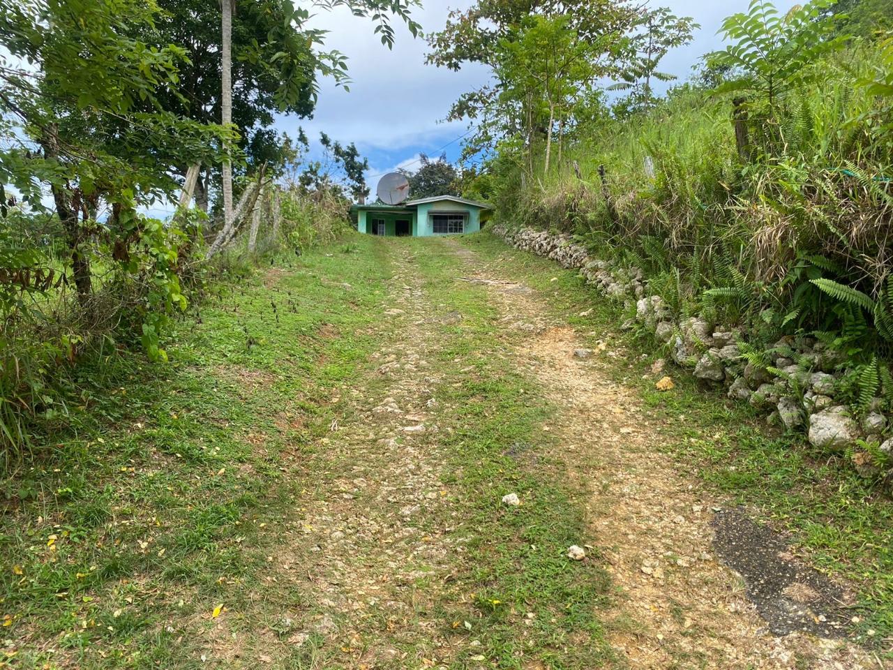 First image of 186 Hermitage, St. Ann in Hermitage, St. Ann, Jamaica - property is For Sale