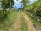 First image of 186 Hermitage, St. Ann in Hermitage, St. Ann, Jamaica - property is For Sale