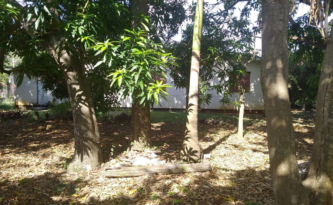 Twenty-Seventh image of Bridgewater in Discovery Bay, St. Ann, Jamaica - property is For Sale