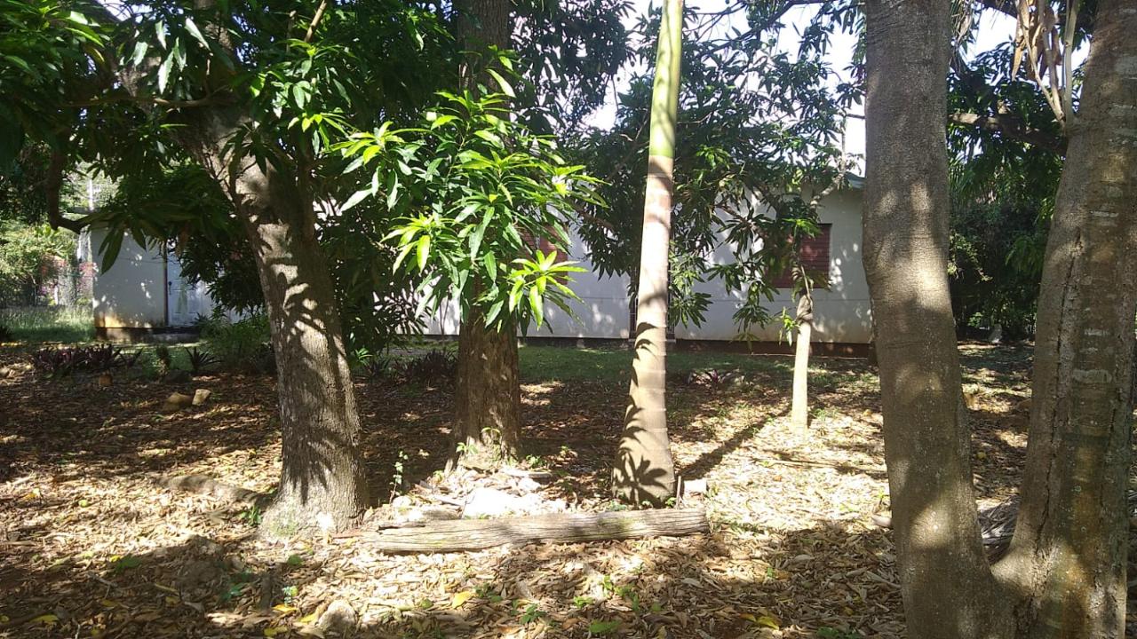 Twenty-Seventh image of Bridgewater in Discovery Bay, St. Ann, Jamaica - property is For Sale