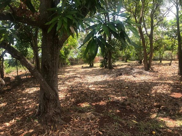 Twenty-Ninth image of Bridgewater in Discovery Bay, St. Ann, Jamaica - property is For Sale
