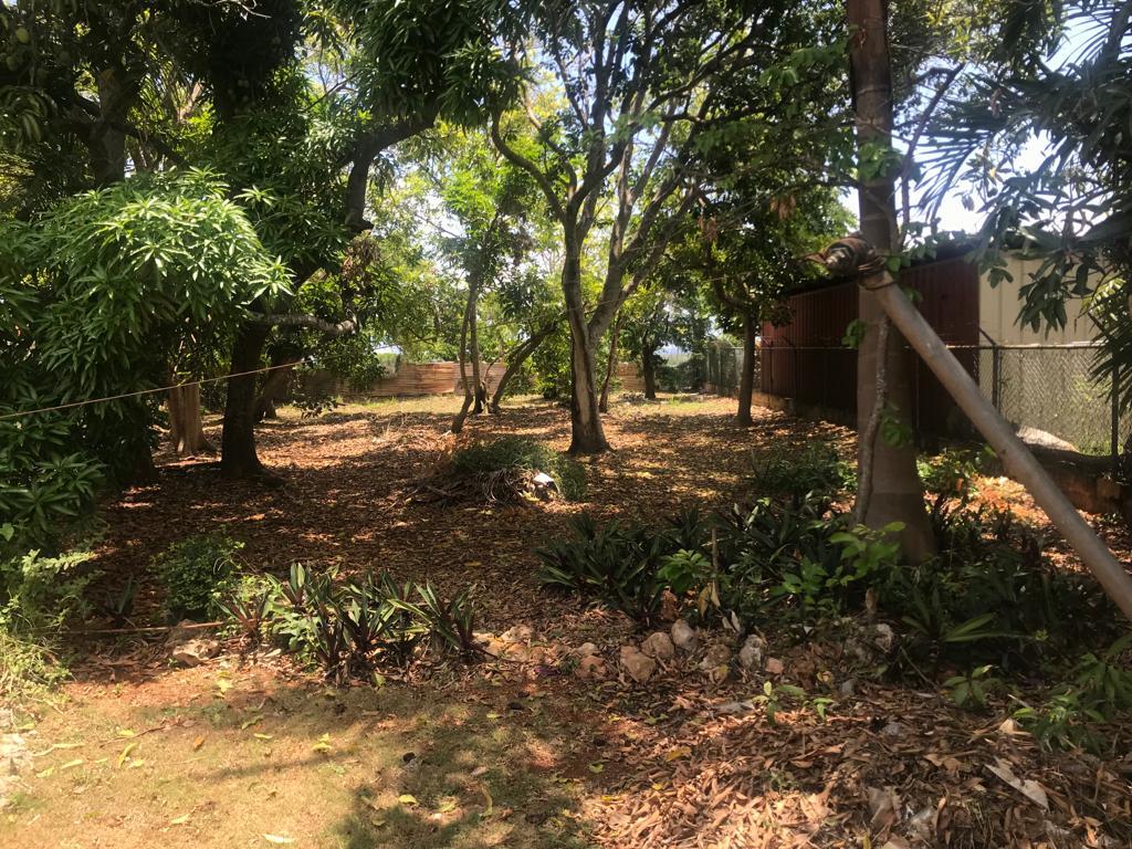 Thirtieth image of Bridgewater in Discovery Bay, St. Ann, Jamaica - property is For Sale