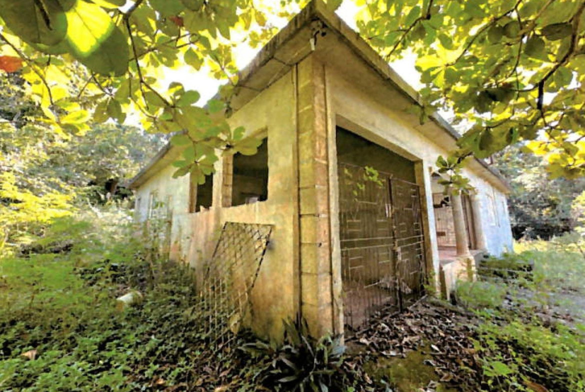 Second image of Ellen Street, Manchester in Ellen Street, Manchester, Jamaica - property is For Sale