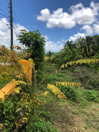 Sixth image of 5 Hanbury Road , Manchester in Shooters Hill, Manchester, Jamaica - property is For Sale
