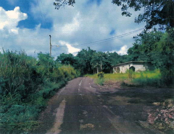 Fifth image of Ellen Street, Manchester in Ellen Street, Manchester, Jamaica - property is For Sale