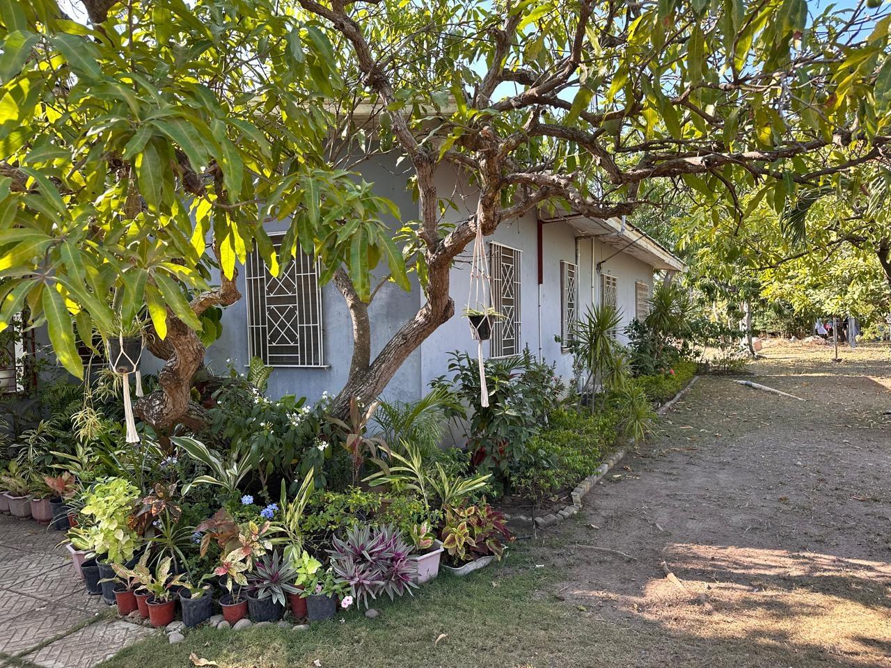 Second image of 2 Bog Estate, Clarendon in Hayes, Clarendon, Jamaica - property is For Sale