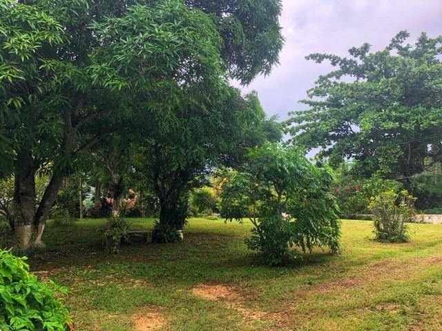 Thirteenth image of 5 Azalea Close in Montego Bay, St. James, Jamaica - property is For Sale