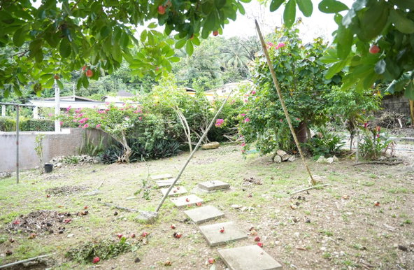 Eleventh image of 424 Pitfour Boulevard in Pitfour Heights, St. James, Jamaica - property is For Sale