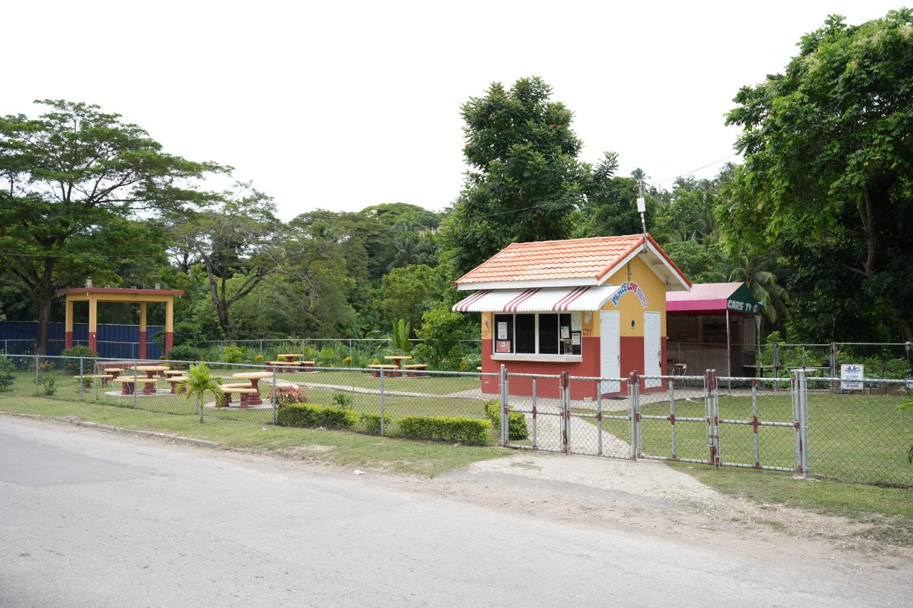 Sixteenth image of 424 Pitfour Boulevard in Pitfour Heights, St. James, Jamaica - property is For Sale