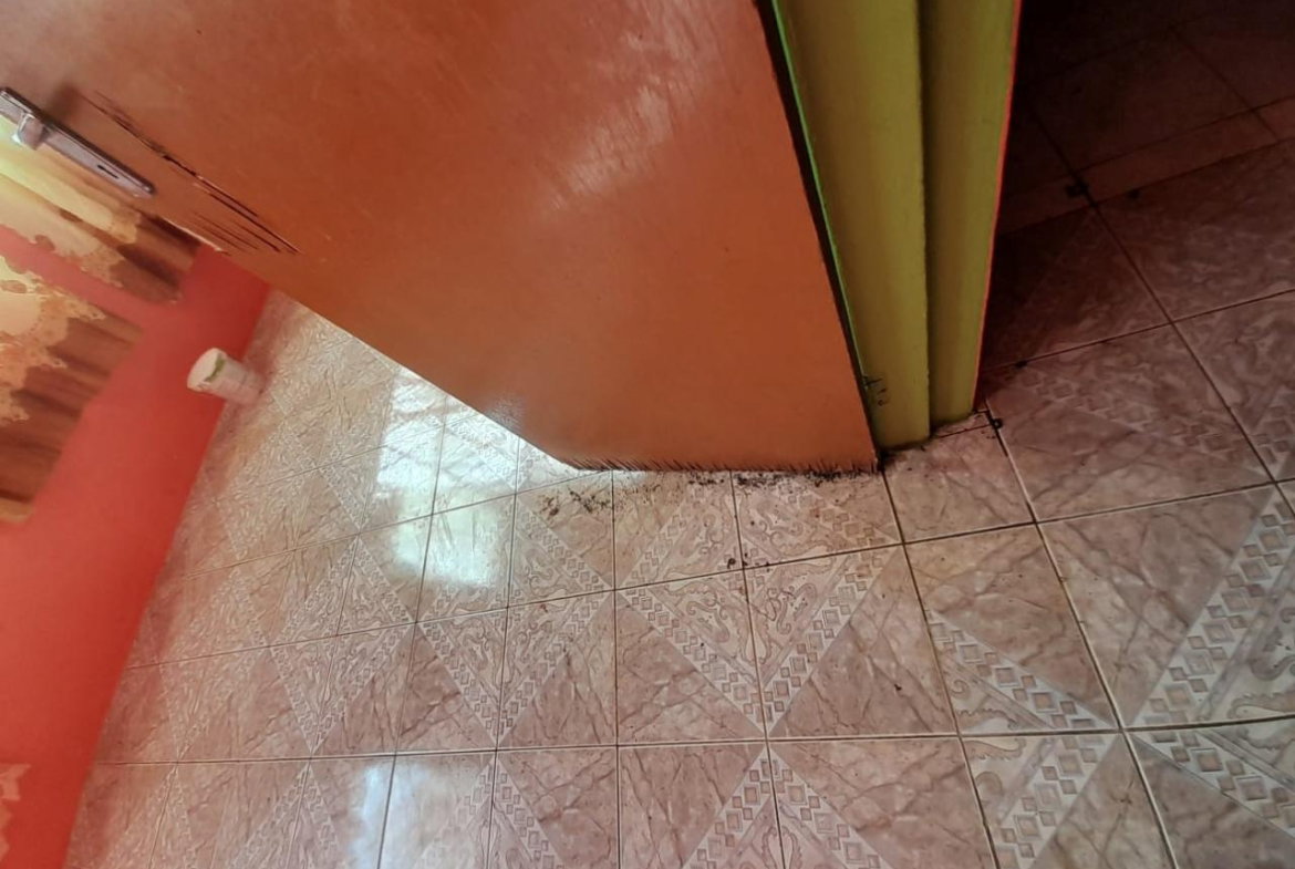 Seventeenth image of Part of Leeds, Smoothland in Leeds, St. Elizabeth, Jamaica - property is For Sale