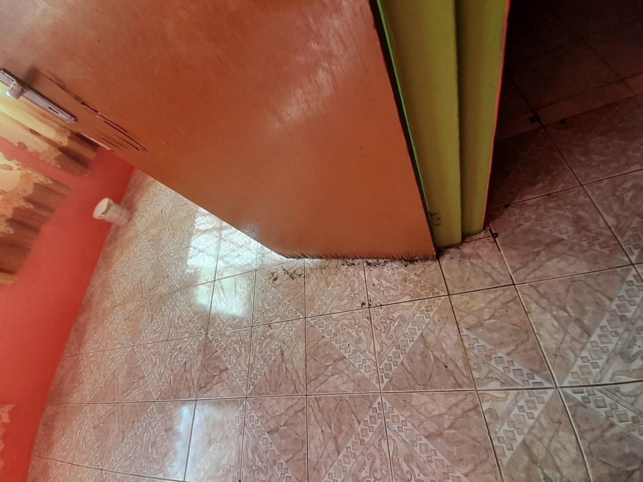 Seventeenth image of Part of Leeds, Smoothland in Leeds, St. Elizabeth, Jamaica - property is For Sale