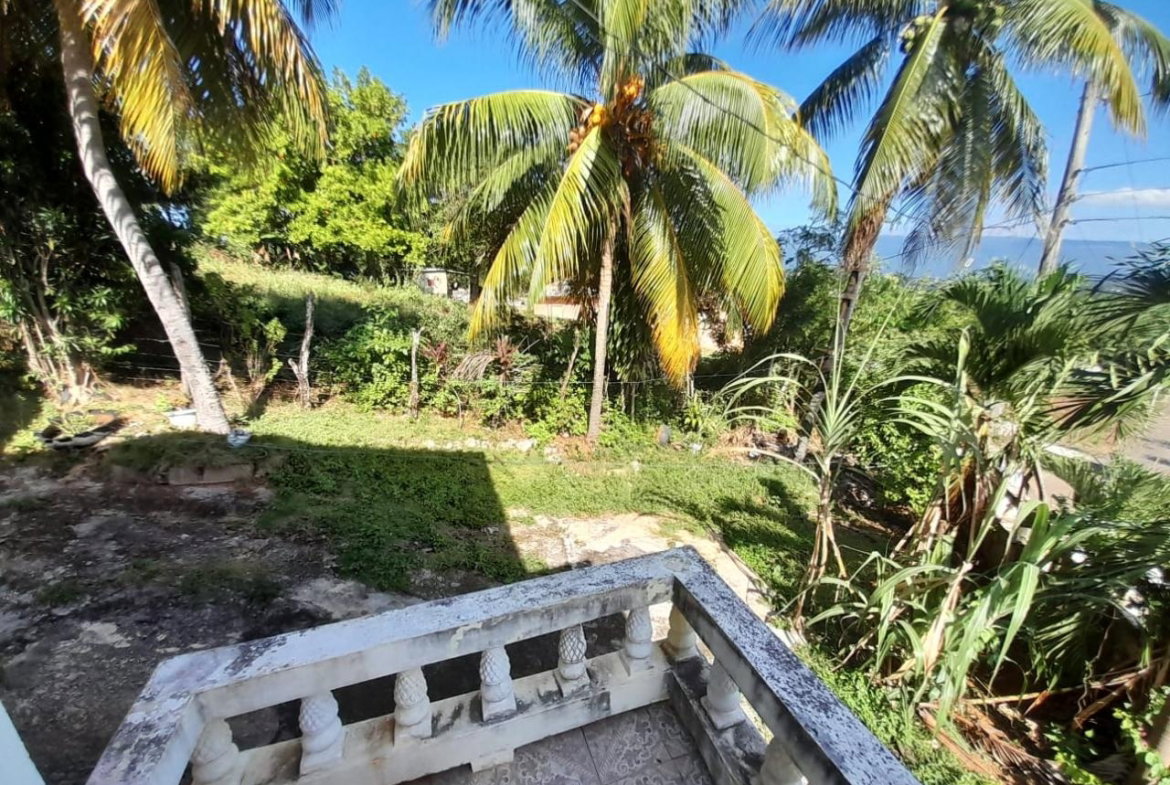 Thirtieth image of Part of Leeds, Smoothland in Leeds, St. Elizabeth, Jamaica - property is For Sale