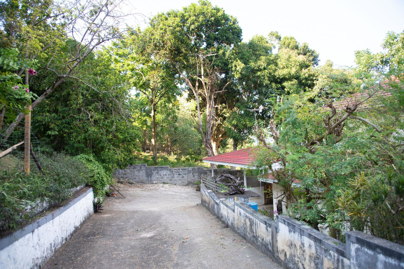 Second image of Lot 11 Content Pen in Lime Hall, St. Ann, Jamaica - property is For Sale